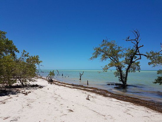 El Centro de Holbox